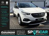 Opel Grandland X 120 Jahre PDC Kamera IntelliLink SHZ - Opel Grandland (X) in Freiburg
