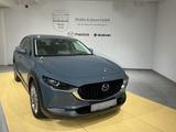 Mazda CX-30 Takumi Automatik Leder - Mazda CX-30 mit Benzin-Antrieb: Takumi