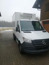 Mercedes-Benz Sprinter Kühlfahrzeug - Kühlfahrzeug