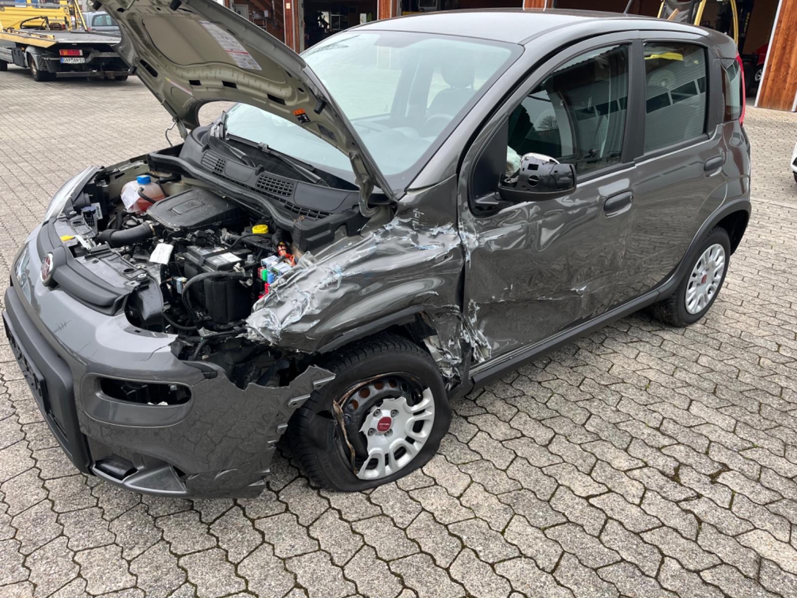 Fiat Panda Base