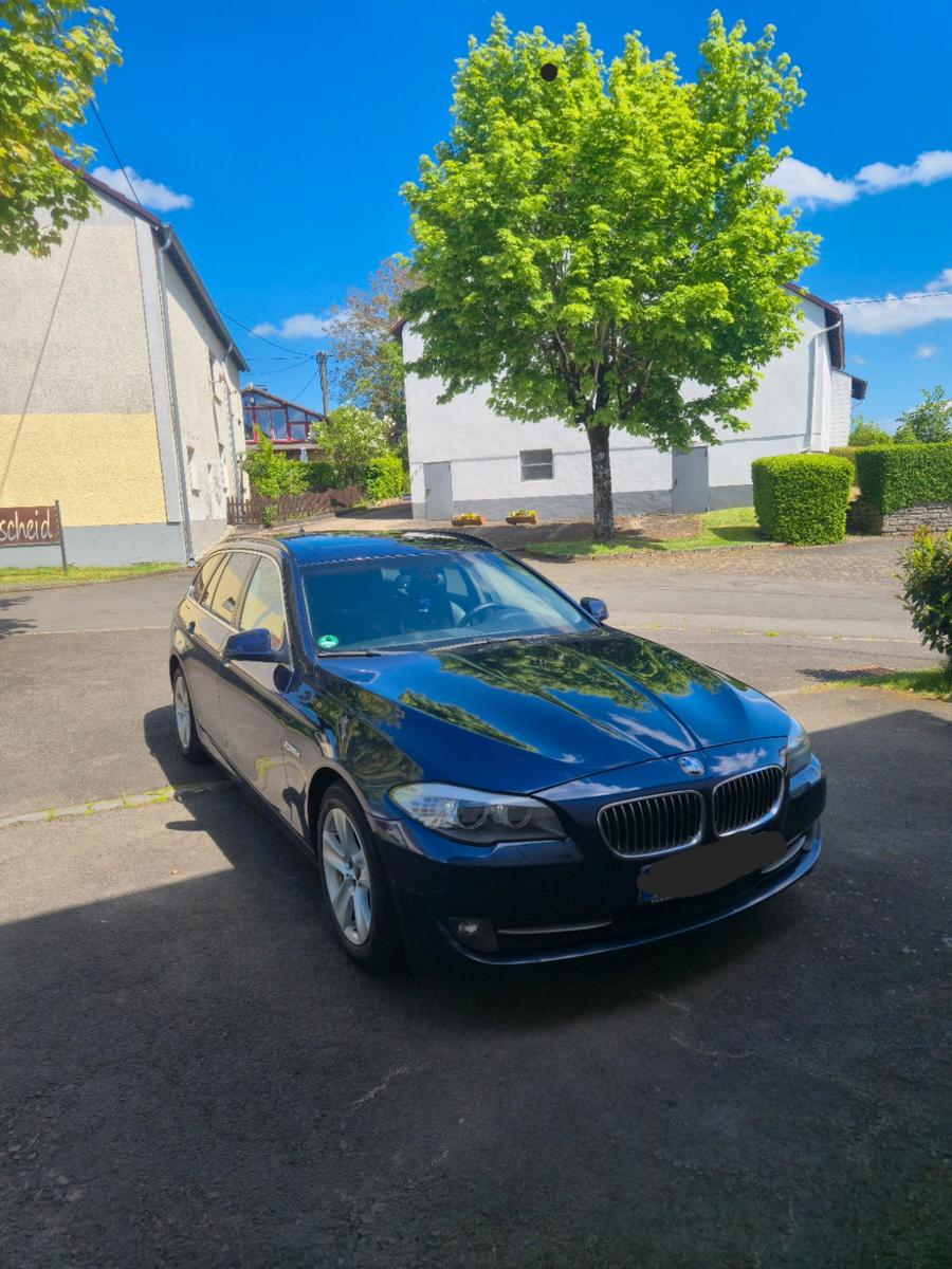 BMW 525 2011 — вигляд ззаду