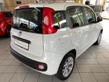 Fiat Panda Lounge - Fiat Panda: 5sitzer