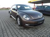 Volkswagen New Beetle Sondermodel Käfer Klima Sitzh. Temp.  - Volkswagen: Sportwagen, Kaefer