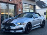 Ford Mustang 5.0 V8 Cabrio Shelby GT350-Paket/LED - Ford Mustang Gebrauchtwagen in Hannover
