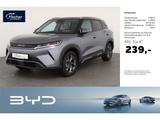 BYD ATTO 2 Comfort LP: 43.549,- /Pano/Wärmepumpe/Top - BYD ATTO 2 Neuwagen