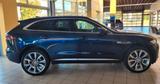 Jaguar F-Pace 30d AWD First Edition Automatik First... - Jaguar F-Pace 30d Gebrauchtwagen
