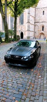 Ford Mustang Blickfang - gebrauchte Ford Mustang aus dem Jahr 2000