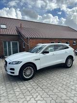 Jaguar F Pace Geländewagen - Gelände gebraucht