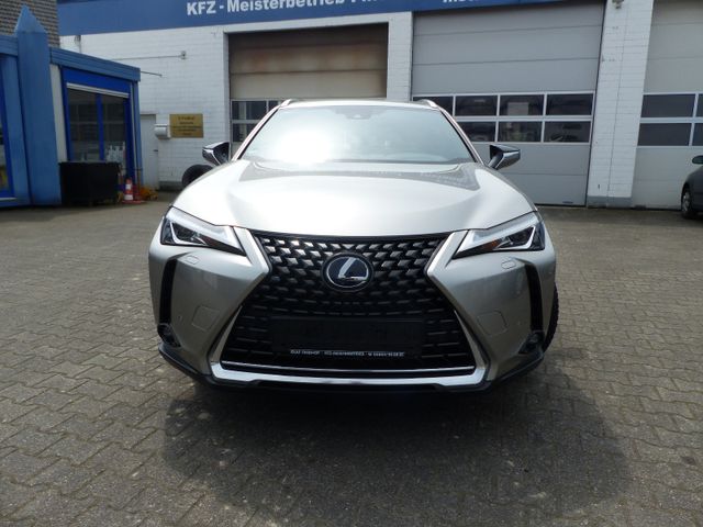 Lexus UX 250h Kamera,ACC,LED Scheinwerfwer,