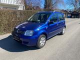 Fiat New Panda 1.2 8V / Klima - blaue Fiat New Panda