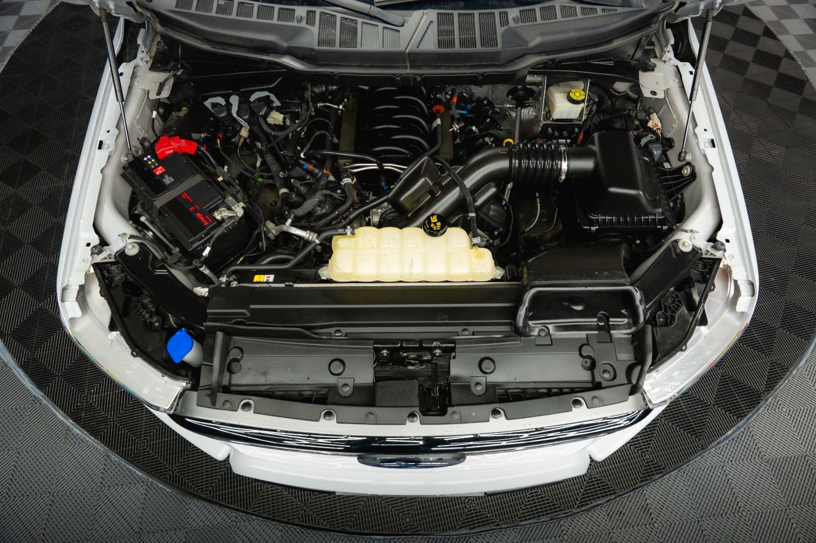 Fahrzeugabbildung Ford F150 5.0L V8 4x4 Offroad SuperCrew RAPTOR 19%