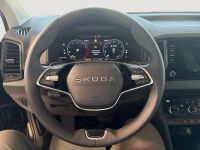 Skoda Karoq - Vorschau Bild 31