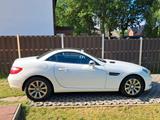 Mercedes-Benz SLK 250 CDI - - Mercedes-Benz SLK 250 von privat