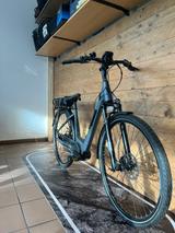 Trenoli Brenta Comodo - Trenoli E-Bikes