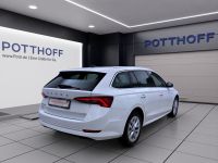 Skoda Octavia - Vorschau Bild 6