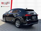 Lexus NX 300h 2.5 Hybrid 4x4 Launch +LED +Navi +Sitzhe - gebrauchte Lexus Pickups