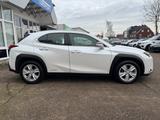 Lexus UX 250h Style LED+Kam+Smartlink+PDC+Alu - Lexus UX: Automatik