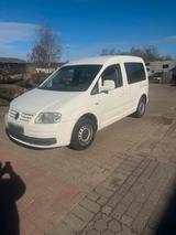 Volkswagen Wolkswagen Cady zu verkaufen 1.9 sdi 125,0... - Volkswagen Golf: W12