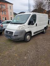 Fiat Ducato - gebrauchte Fiat Ducato aus dem Jahr 2010