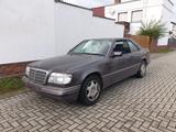 Mercedes-Benz CE 200 - Mercedes-Benz CE 200 Benziner Gebrauchtwagen