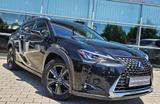 Lexus UX 250h Launch Edition - Lexus aus 2019
