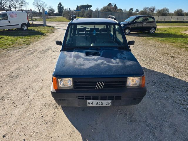 Fiat Panda 900 i.e. cat Young