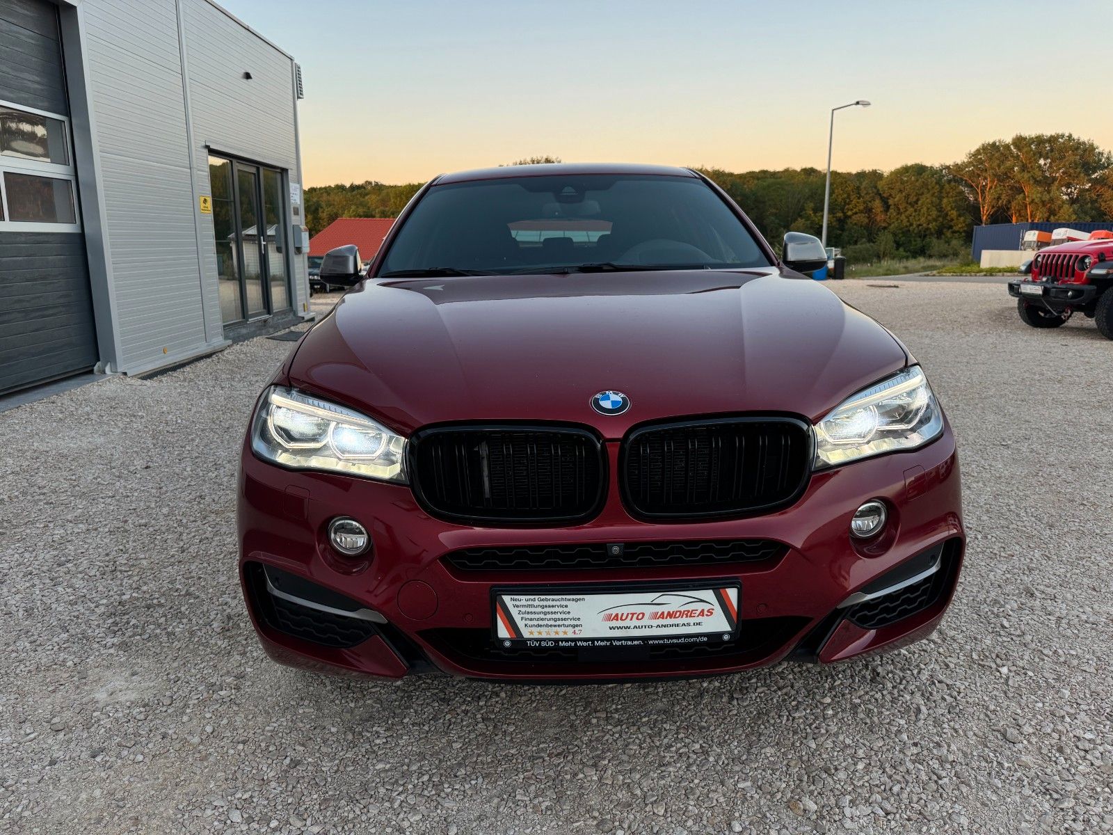 BMW X6 M50/Head-up/LED/Alcantara/Harman-Kardon/Voll