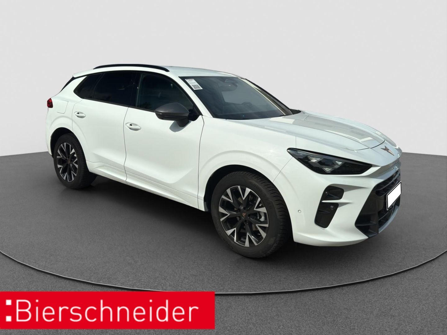 Cupra Terramar - Bild 10