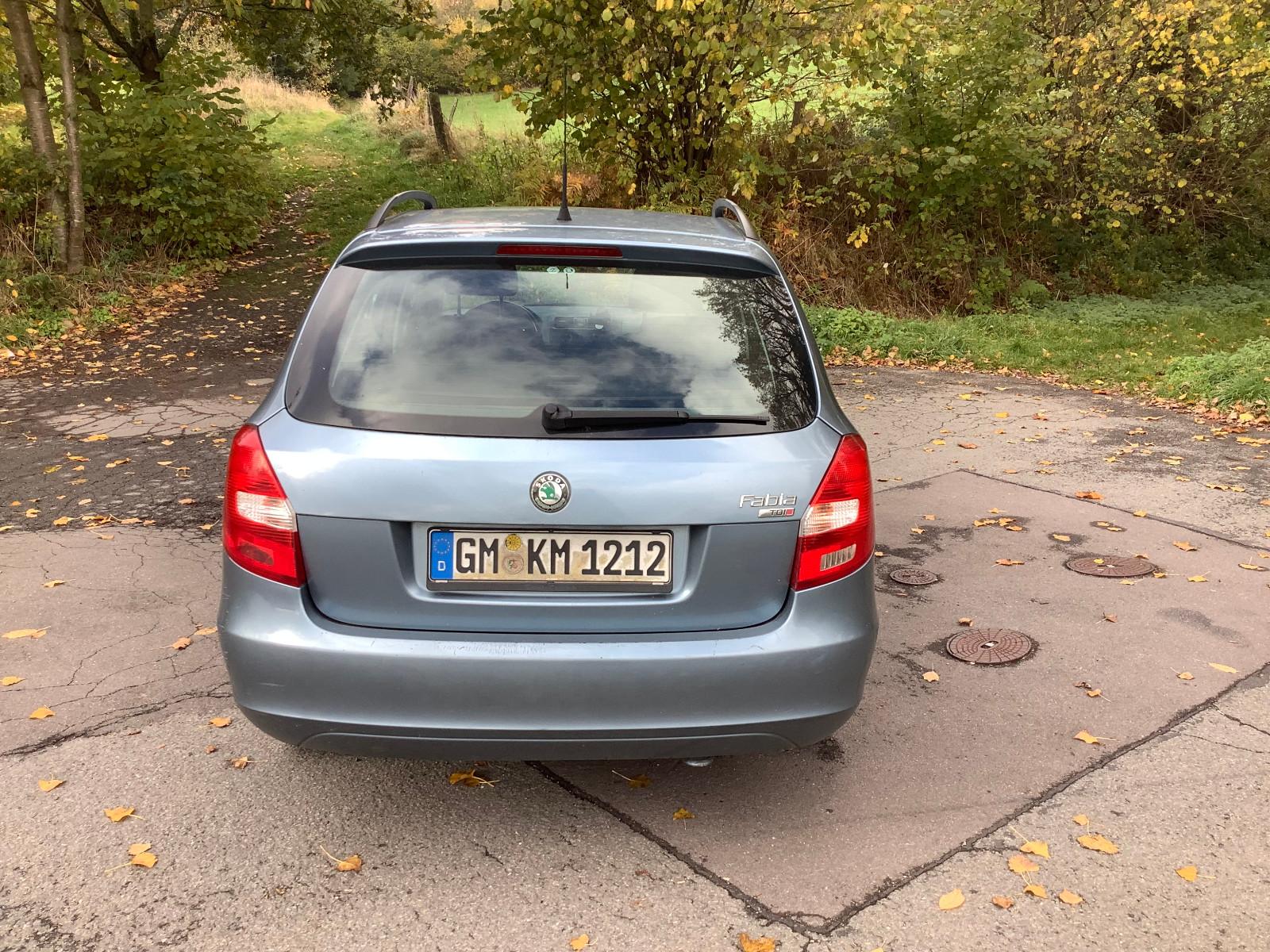 Skoda Fabia 2010 — photo 5