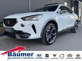 Cupra Formentor 2.0 TDI 4Drive 7-Gang-DSG - Cupra mit Diesel-Antrieb