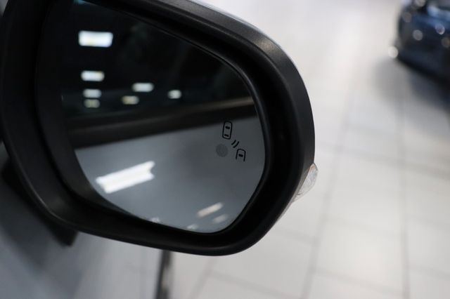 Fahrzeugabbildung Ford Fiesta Active Plus|PANO|B&O|KAMERA|LED|SILVERFOX