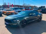 Ford Mustang GT 5.0 V8 Schalter Navi Xenon - Ford Mustang Gebrauchtwagen