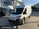 Fiat Ducato Maxi 35 L2H2 AHK RüKa CarPlay Navi - Fiat Ducato Neuwagen