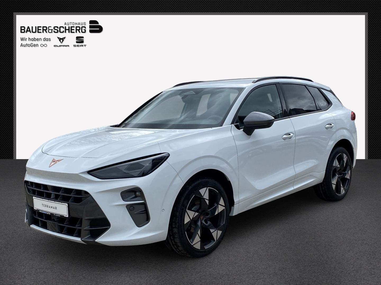 Cupra Terramar 2.0 TSI 195 kW 4Drive VZ AHK Sennh. Nav
