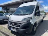 Fiat Ducato Maxi Grossr.-Kasten 35 180 L5H2 RS: 4035 - Fiat Ducato l4h3