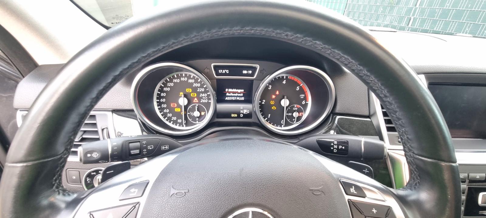 Mercedes-Benz ML 350 Blue Tec AMG ,Sitzbelüftung,Pano