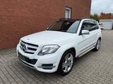 Mercedes-Benz GLK 350 4Matic "Panorama"Navi"SiHz"AHK - weiße Mercedes-Benz GLK 350