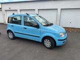 Fiat Panda - Fiat Panda Gebrauchtwagen in Wuppertal