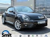 Volkswagen Beetle Cabriolet Allstar *Bi-Xenon*Leder*Kamera - Volkswagen Beetle ALLSTAR mit Benzin-Antrieb