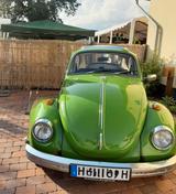 Volkswagen Käfer 1302 zu verkaufen  - Volkswagen Käfer: 1302