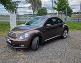 Volkswagen New Beetle 1,2 TSI Design, Inspektion NEU! - Volkswagen New Beetle mit Benzin-Antrieb: Limousine