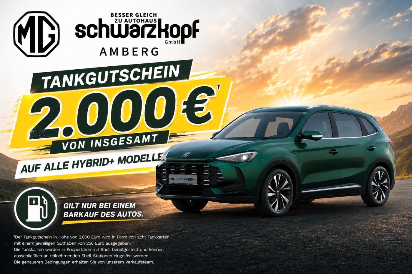 MG ZS - Bild 4