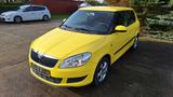 Skoda Fabia Family, Klima, Allwetter,HU 5/2027, S-Heft - Skoda Fabia: Gelb