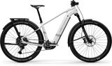 Centurion Backfire R1000 EQ 39 cm (S) - Centurion E-Bikes