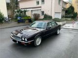 Jaguar XJ6 X300 Executive Sovereign Sehr gepflegt - Jaguar XJ6: Sovereign