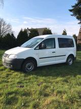 Volkswagen VW CADDY 1,9 TDI LKW ZULASSUNG - Volkswagen Caddy: Lkw Zulassung