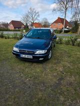 Citroën Citroen Xsara / TÜV bis Sep. 2027 - Citroën Xsara aus 2000