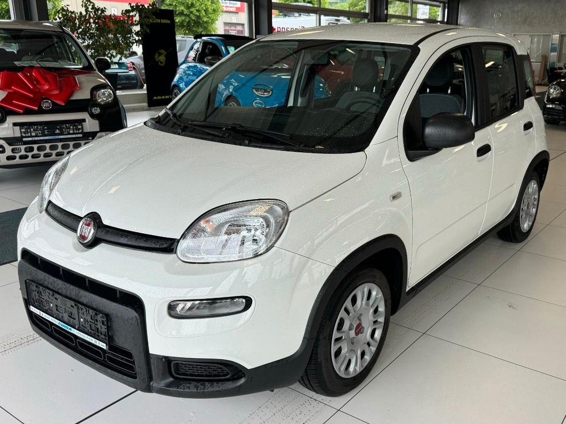 Fiat Pandina 1,0 Hybrid 70PS City Paket, MY2025 *508
