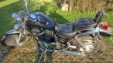 Suzuki VX 51 L - Angebote