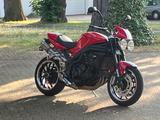 Triumph Speed Triple  - Angebote